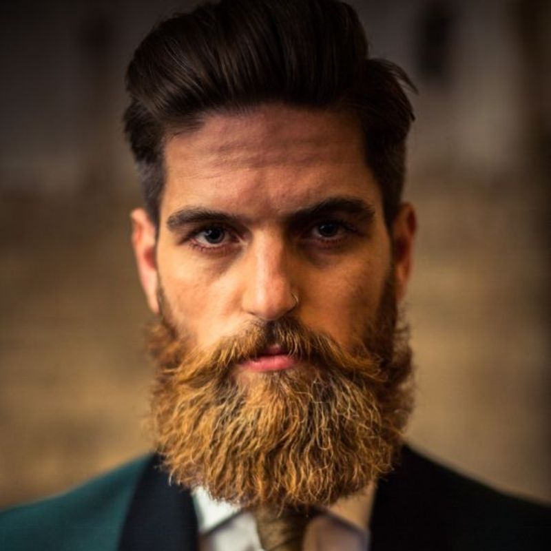 tipuri de barba-barbă Garibaldi